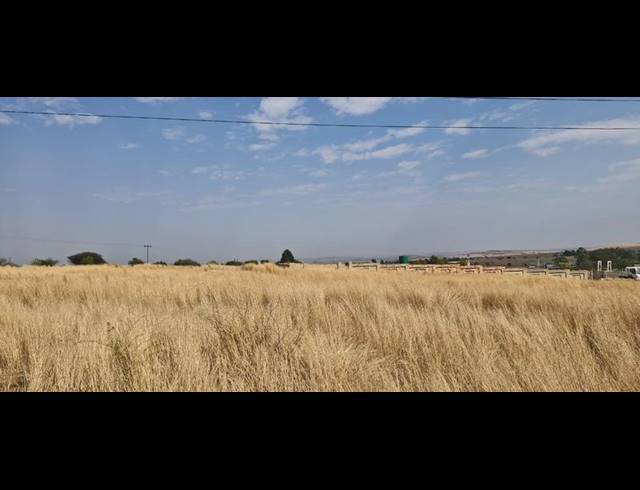 FARM FOR SALE IN LAEZONIA